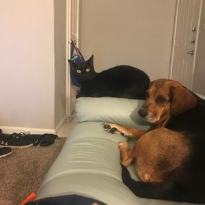 Meet your Posher, Drew